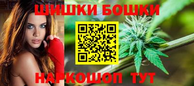 jwh Шебекино