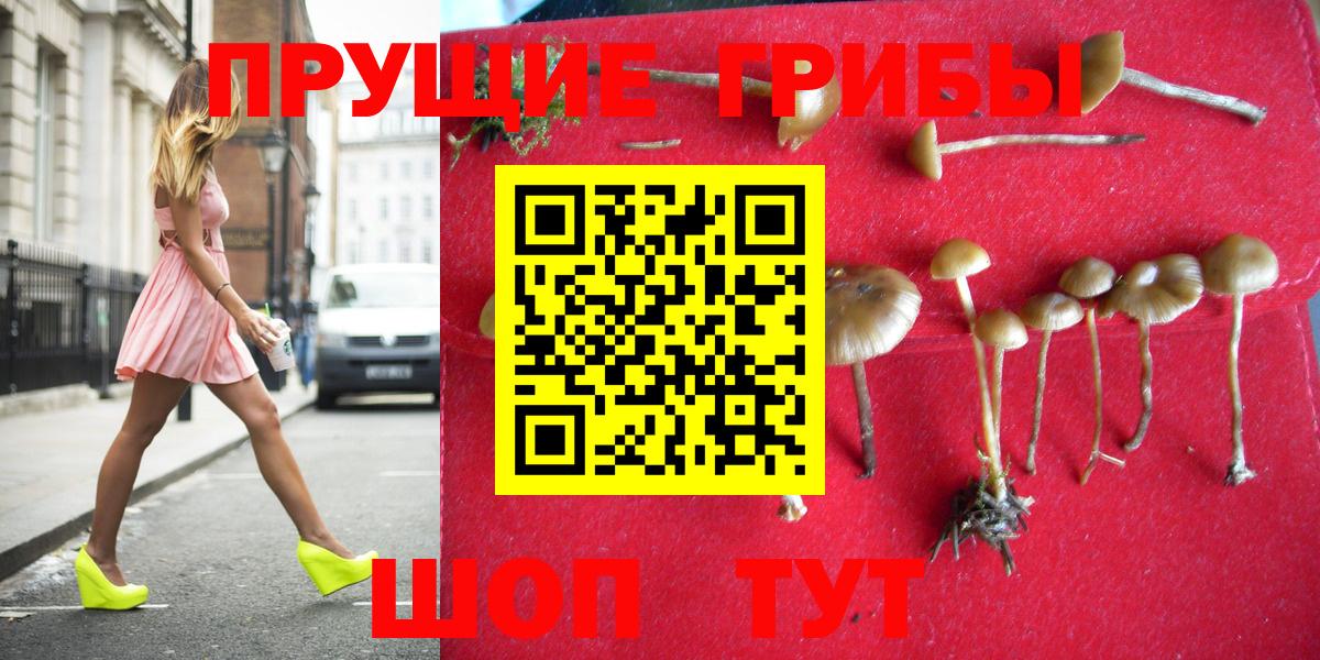 Галлюциногенные грибы MAGIC MUSHROOMS  Вход с VPN  Выкса 